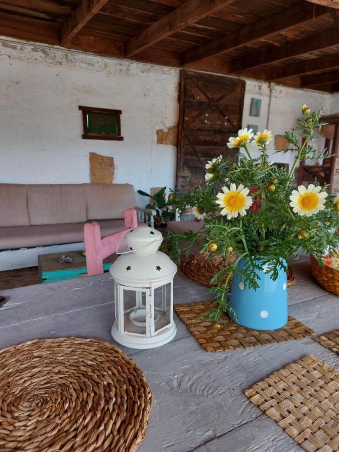 Apartament Casa Elsa Puerto del Rosario  Zewnętrze zdjęcie